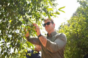 Bodrum Belediyesi ve Belediye A.Ş. iş birliğinde geliştirilen yeni satış