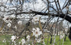 Türkiye’nin birçok bölgesinde kış mevsimi soğuk hava, don ve kar