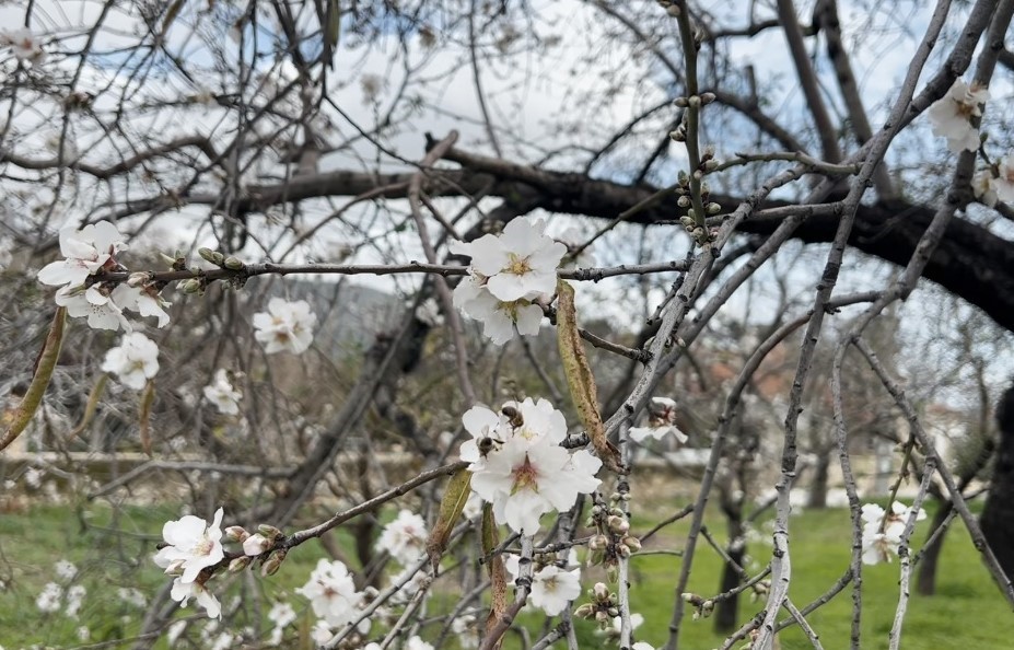 Türkiye’nin birçok bölgesinde kış mevsimi soğuk hava, don ve kar