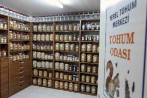 Muğla Büyükşehir Belediyesi, yerel tarımsal değerlerin korunması ve gelecek kuşaklara