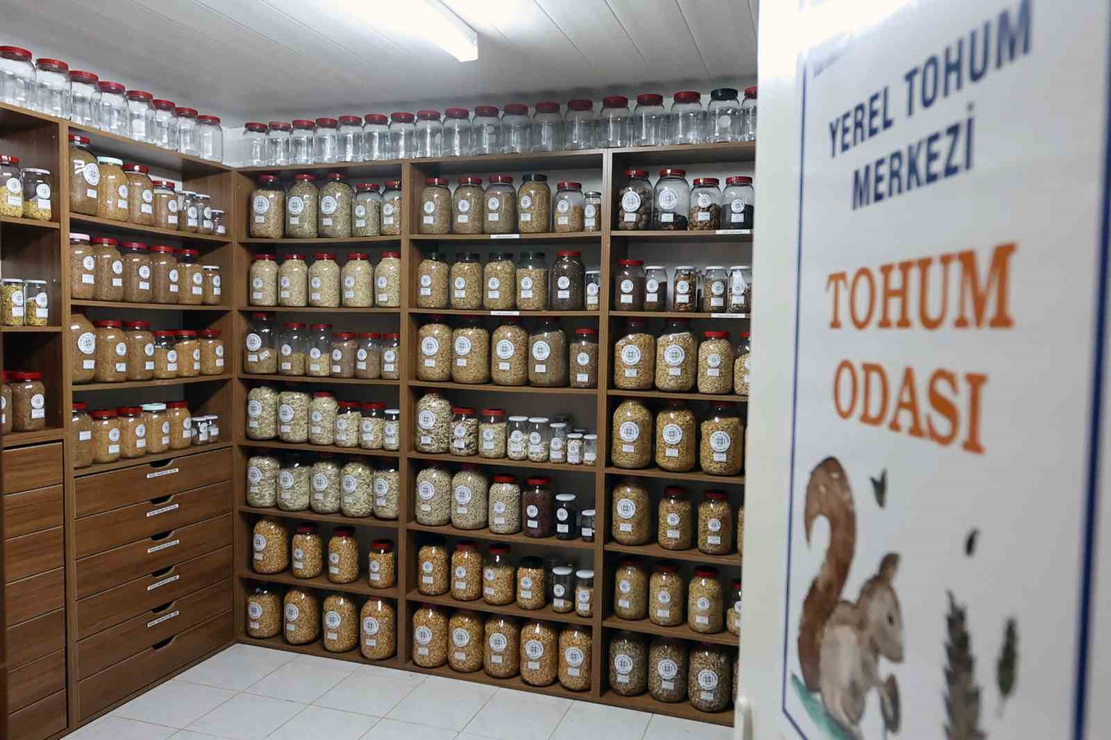 Muğla Büyükşehir Belediyesi, yerel tarımsal değerlerin korunması ve gelecek kuşaklara