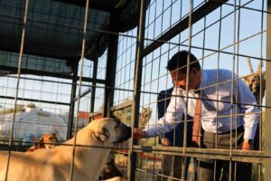 Türkiye’nin en donanımlı Hayvan Bakım Evleri’nden birini Muğla’ya kazandıran Büyükşehir