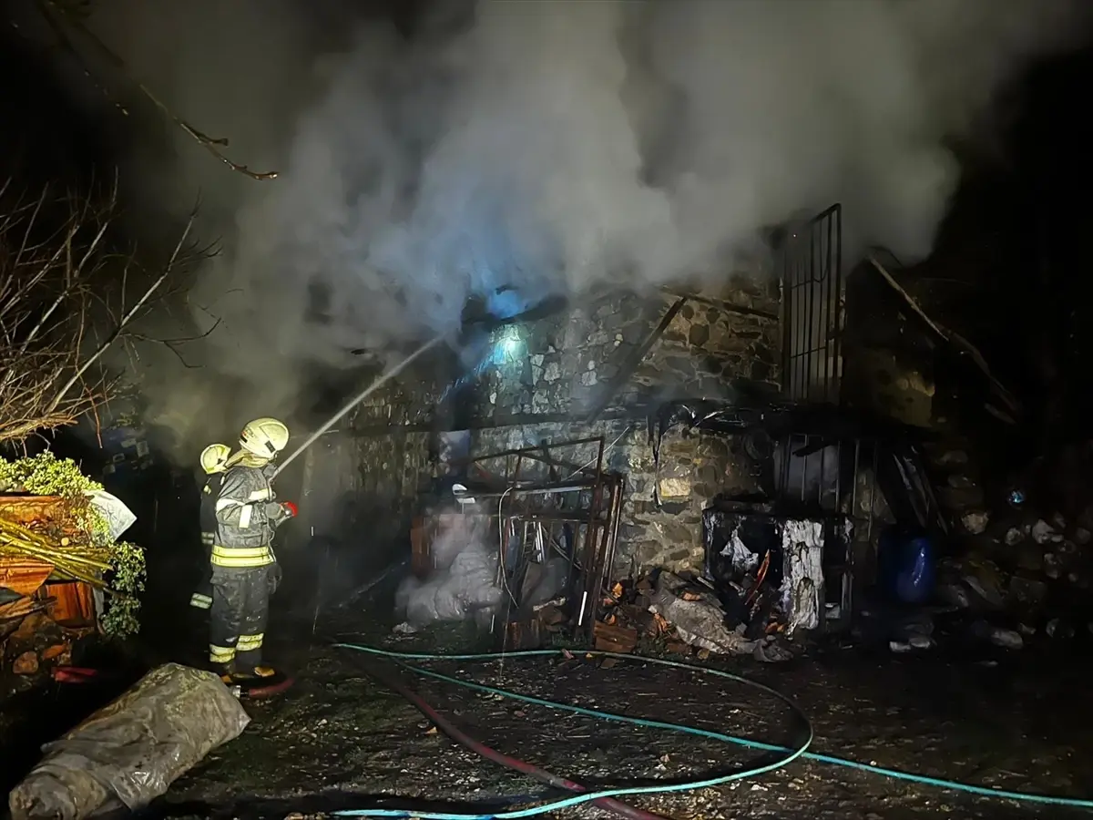 Seydikemer'de çıkan yangında 8 küçükbaş ve bir eşek telef oldu,