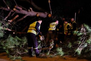 Bodrum Belediyesi Park ve Bahçeler Müdürlüğü ekipleri, dün sabah saatlerinde