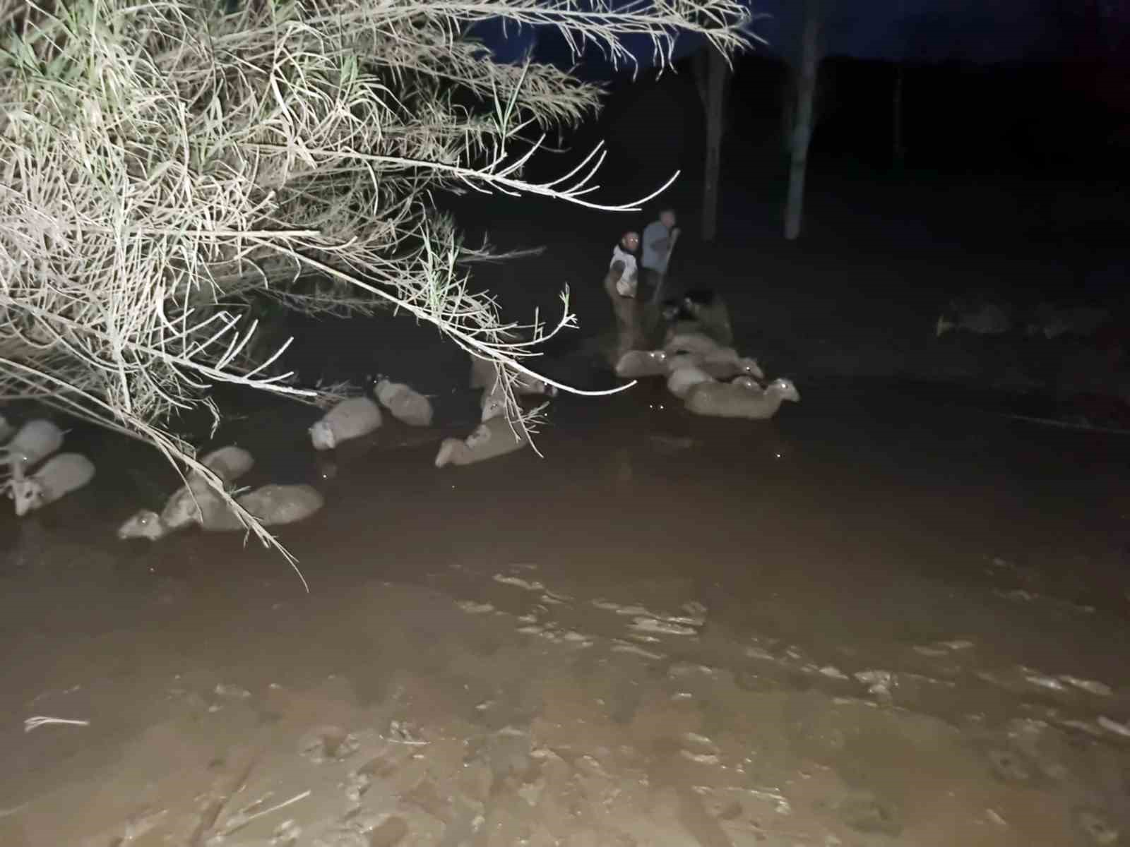 Muğla Büyükşehir Belediyesi İtfaiye ekipleri, Milas ilçesi Güneş Mahallesinde çamura