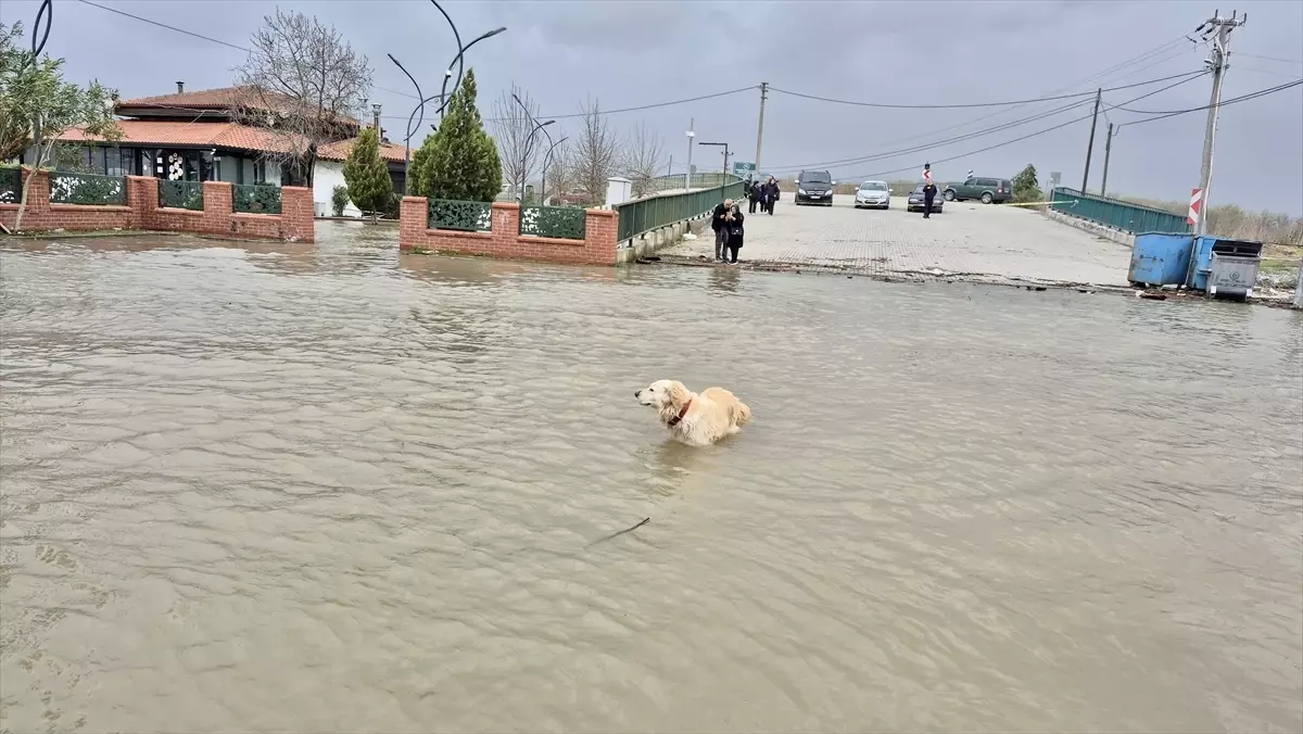 Muğla'da Köyceğiz Gölü'ndeki su seviyesi yükseldi, cadde ve sokakları su