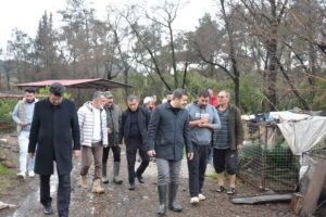 Muğla’nın Köyceğiz ilçesinde etkili olan yoğun yağışın ardından oluşan dere