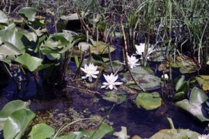 MSKÜ Fen Fakültesi Öğretim Üyeleri ve doktora öğrencileri, 16. Uluslararası