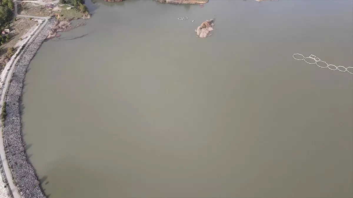 Muğla'daki yağışlar barajların doluluk oranlarını artırdı, ancak kuraklık etkileri sürüyor.