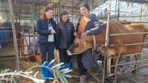 Muğla İl Tarım ve Orman Müdürlüğü, tarımsal üretimde verimlilik ve