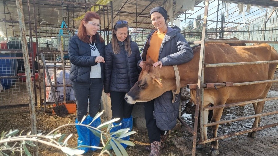 Muğla İl Tarım ve Orman Müdürlüğü, tarımsal üretimde verimlilik ve