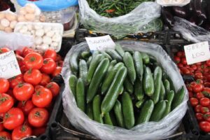 Muğla’da kış aylarında etkili olan kuvvetli yağış ve fırtına seralarda