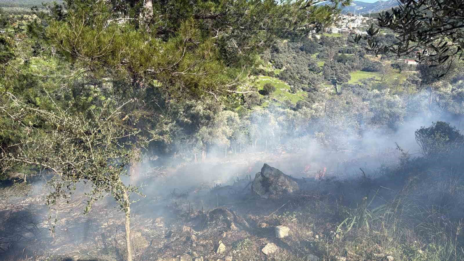 Muğla’nın Bodrum ilçesinde temizlik için yakılan ateş kontrolden çıkınca alevleri