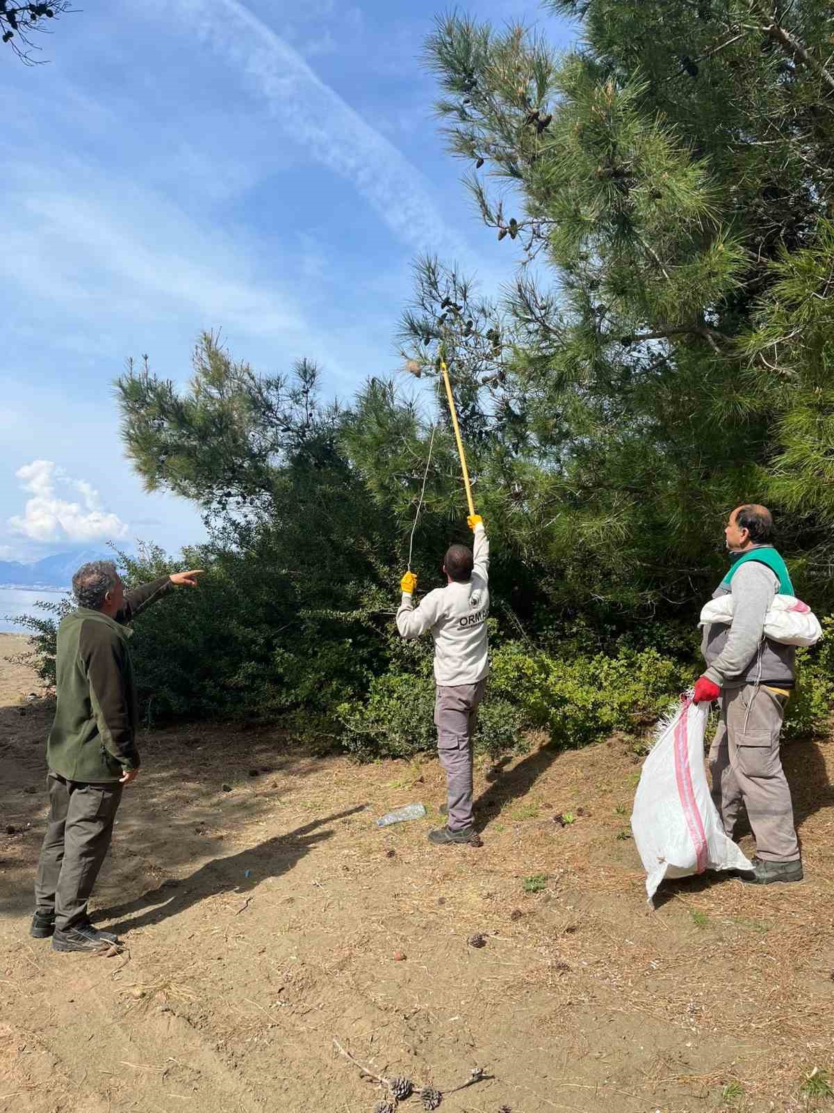 Muğla’nın Marmaris ilçesi Orman İşletme Müdürlüğü ekipleri, ilçe genelindeki ormanlık
