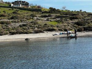 Muğla’nın Bodrum ilçesinde üç vatandaş, tilkişen otu toplamak için gittikleri
