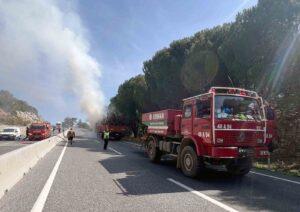 Muğla’nın Sakar Rampası bölgesinde orman yangınlarını önlemek amacıyla yapılan temizlik