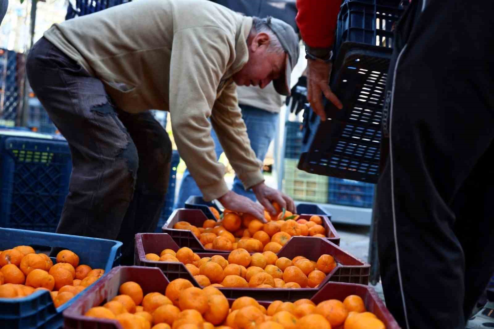 Bodrum Belediyesi, yerel üretimi destekleme ve bölgenin tarımsal değerlerini öne