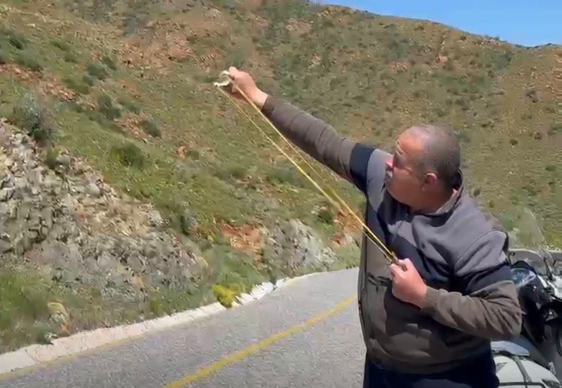 Muğla’nın Marmaris ilçesinde büyük orman yangınlarının ardından doğayı yeniden canlandırmak