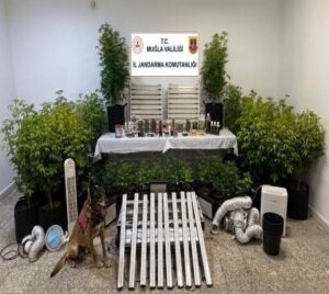 Muğla İl Jandarma Komutanlığı, Mart ayı boyunca gerçekleştirdiği KOM operasyonlarıyla