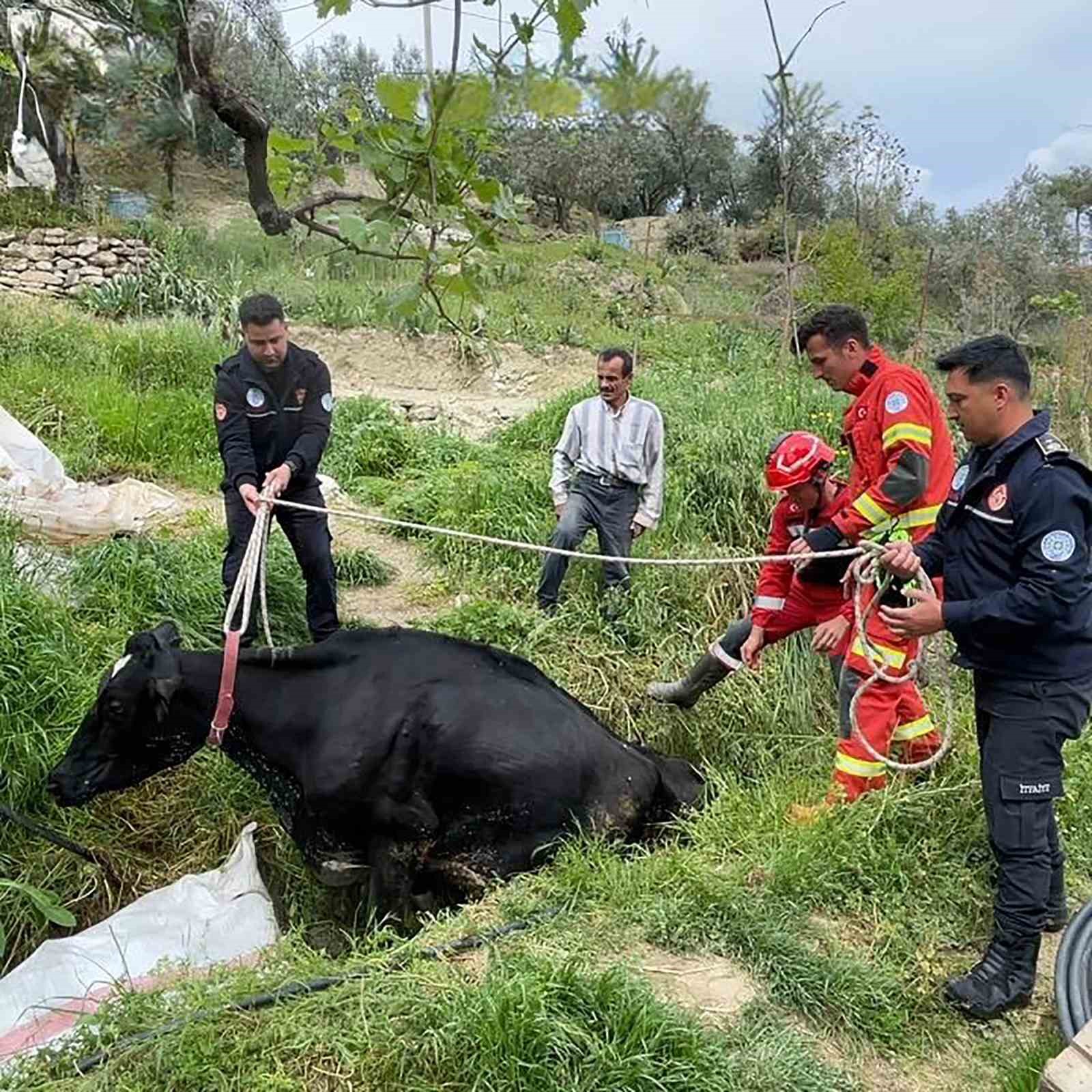Muğla’nın Seydikemer ilçesine bağlı Seydiler Mahallesi Karatoplar mevkiinde mahsur kalan