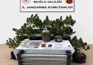 Muğla İl Jandarma Komutanlığı sorumluluk alanında 11-17 Mayıs 2026 tarihleri