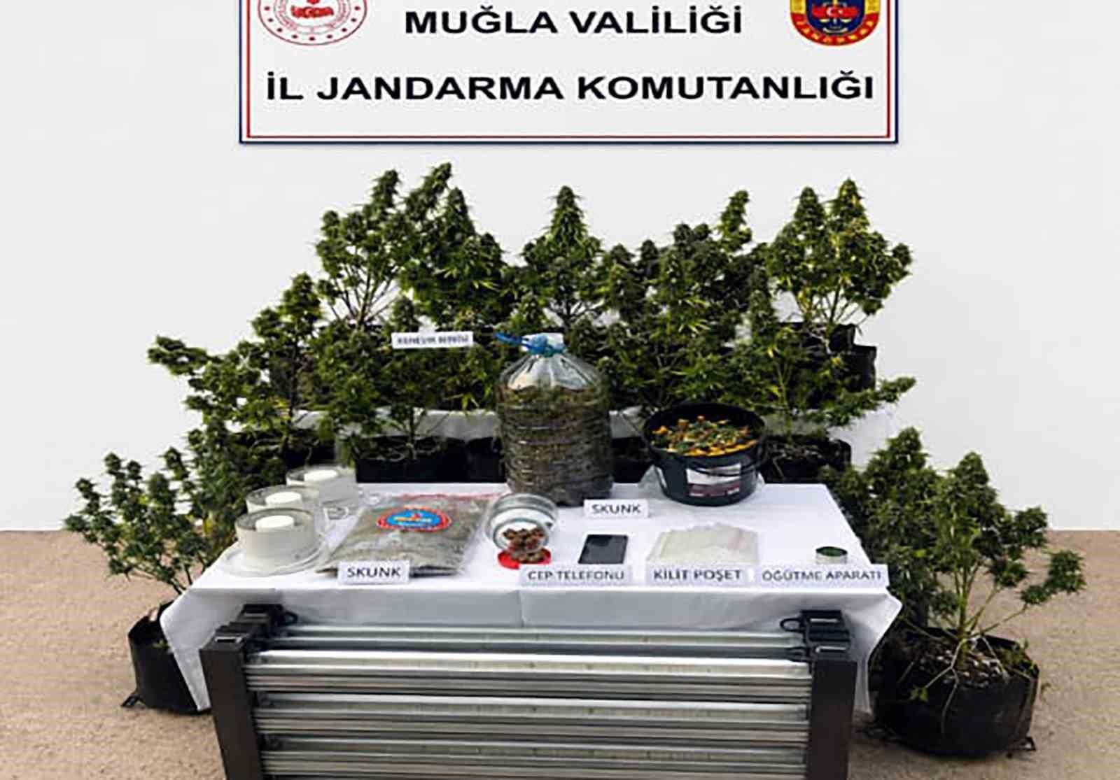 Muğla İl Jandarma Komutanlığı sorumluluk alanında 11-17 Mayıs 2026 tarihleri