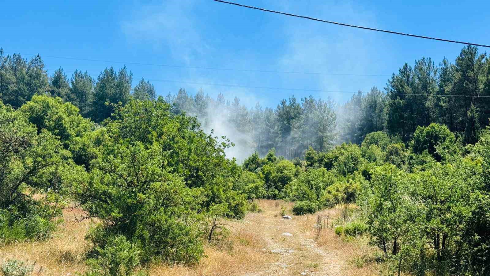 Muğla’nın Menteşe ilçesine bağlı kırsal Doğanköy Mahallesi’nde ormanlık alanda çıkan