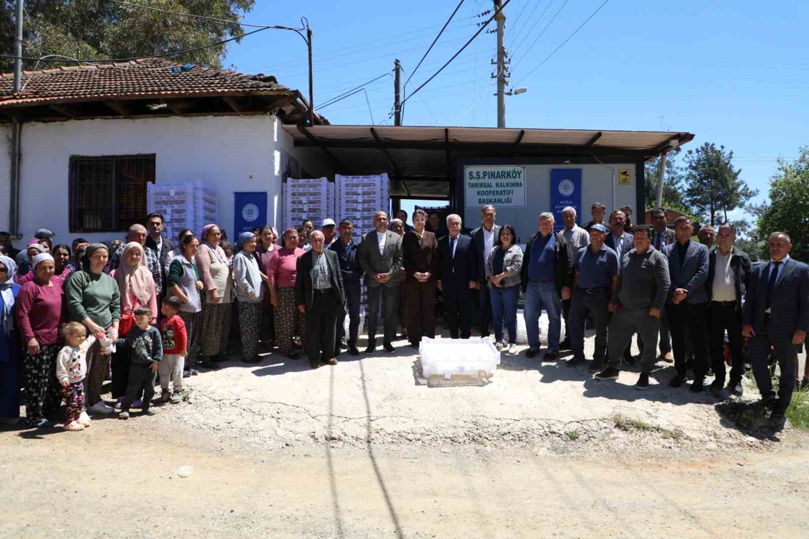 Köyceğiz ilçesine bağlı Pınarköy, Sazak, Beyobası, Çandır ve Akköprü mahallelerinde