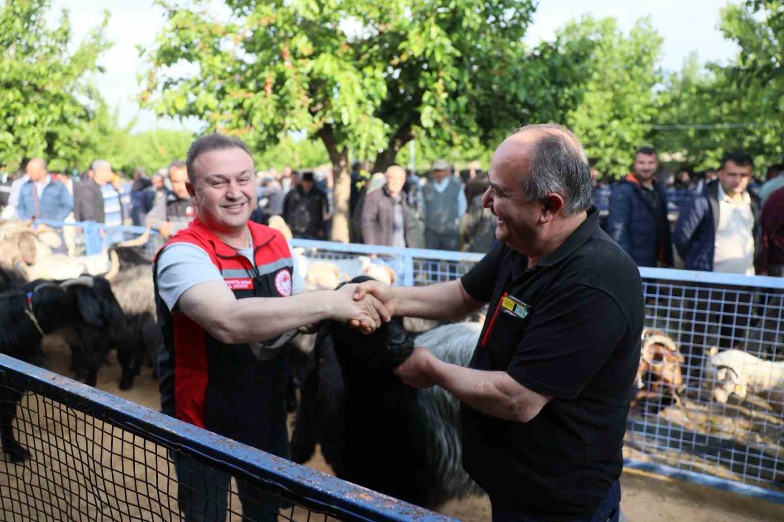 Kurban Bayramı yaklaşırken Muğla genelinde kurbanlık satış alanlarındaki denetimler ve