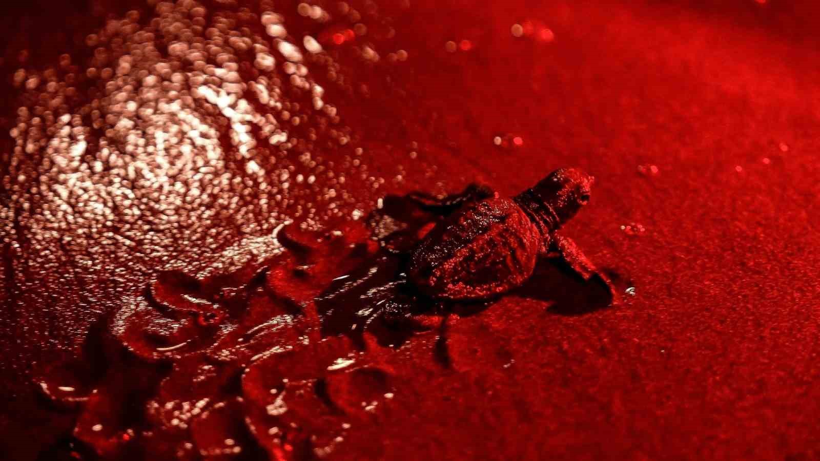 Aydem Enerji çatısı altında Aydın, Denizli ve Muğla’da elektrik dağıtım