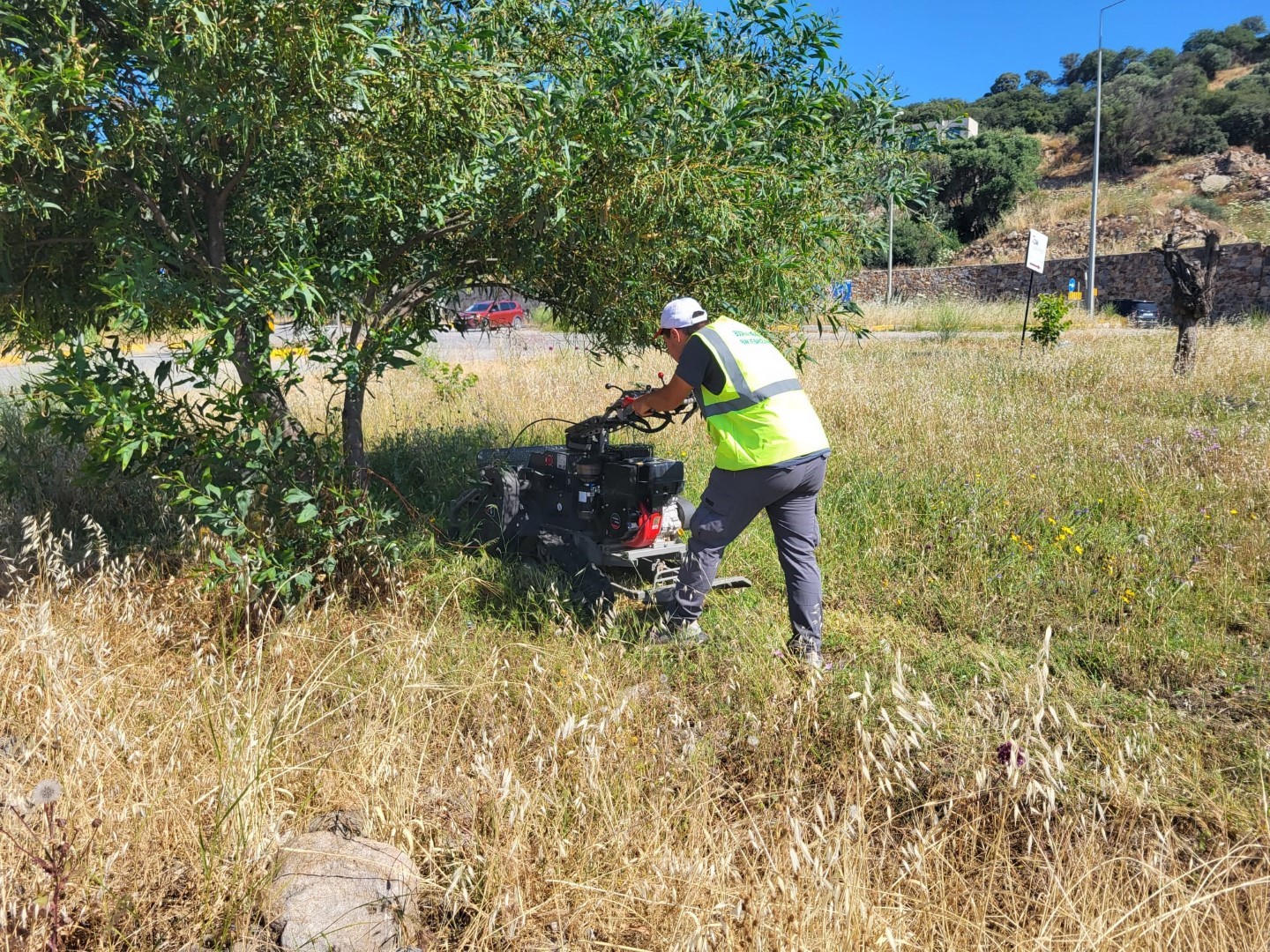 Bodrum Belediyesi Park ve Bahçeler Müdürlüğü ekipleri, Mayıs ayında başlattığı
