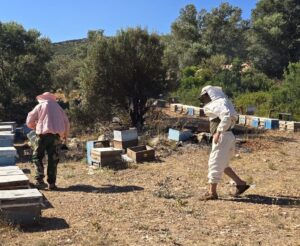 Muğla’nın Datça ilçesinde arıcıların konaklama alanında çıkan yangın, ekiplerin hızlı