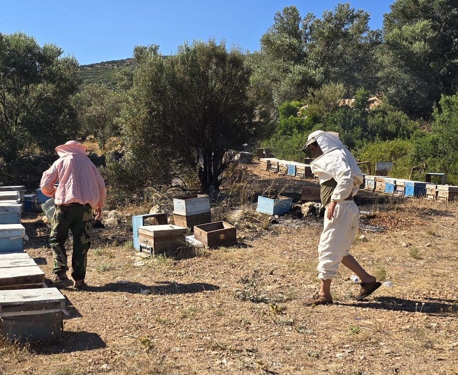 Muğla’nın Datça ilçesinde arıcıların konaklama alanında çıkan yangın, ekiplerin hızlı