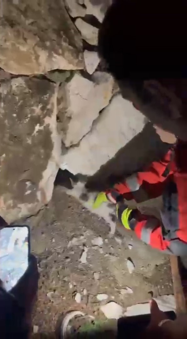 Muğla’nın Yatağan ilçesinde taş duvar arasına sıkışan kedi, itfaiye ekipleri