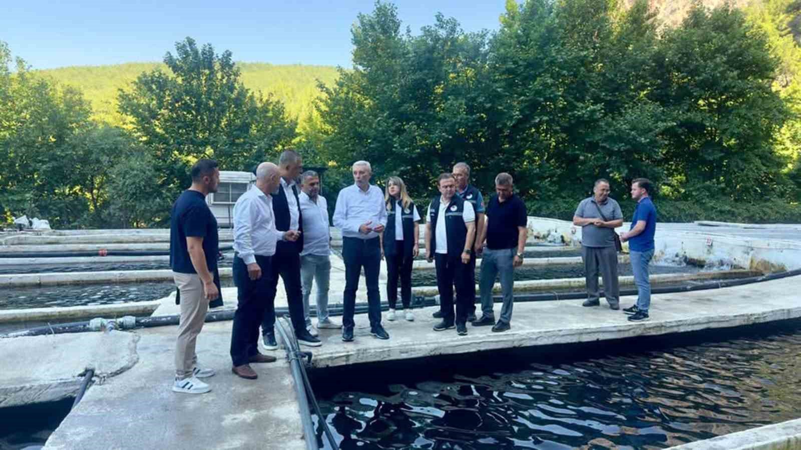 Tarım ve Orman Bakanlığı Balıkçılık ve Su Ürünleri Genel Müdürü