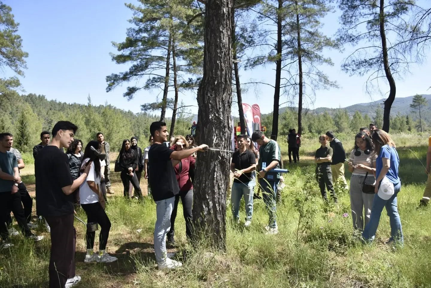 Muğla’nın Köyceğiz ilçesinde Yüksekokul Ormancılık Bölümü öğrencileri, Ormancılık Uygulamaları, Ağaçlandırma