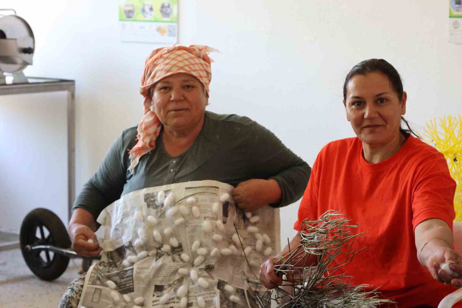 Muğla Büyükşehir Belediyesi, üreticilere yönelik destekleriyle kentte ipek böcekçiliğini yeniden