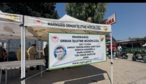 2021 yılının Haziran ayında meydana gelen Muğla’nın Marmaris ilçesi İçmeler