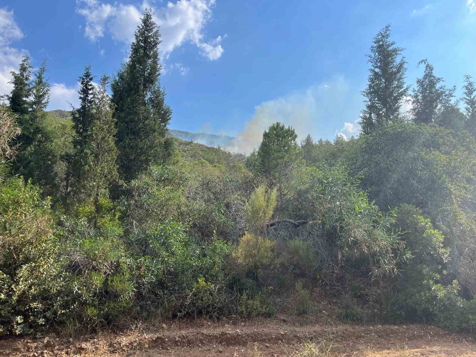 Muğla’nın Marmaris ilçesinde çıkan yıldırım kaynaklı orman yanına ekiplerin karadan