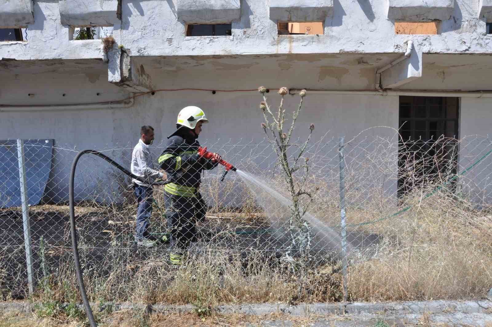 Muğla’nın Menteşe ilçesindeki bir otel arkasında kalan otluk alanda çıkan