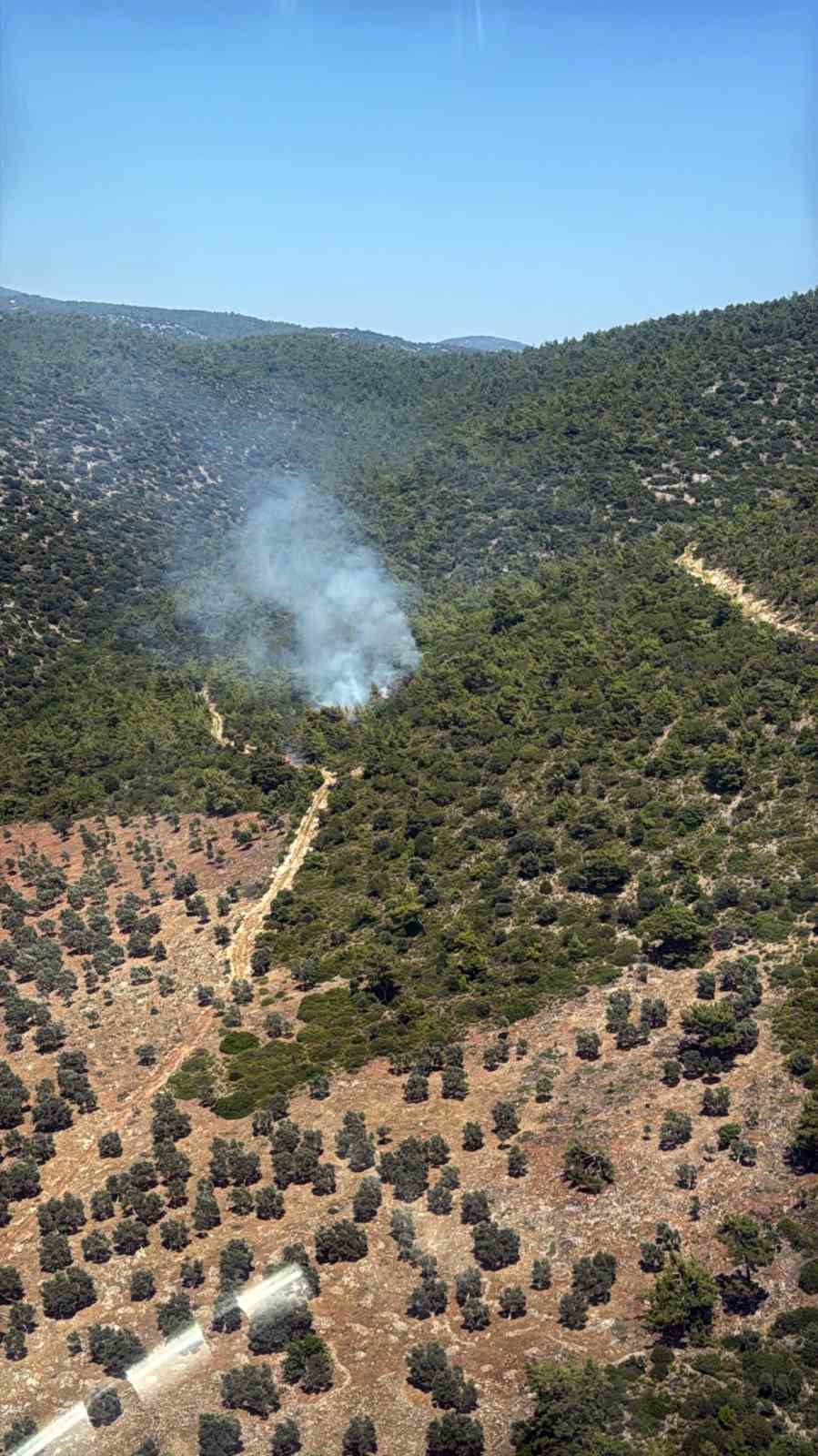 Muğla’nın Milas ilçesine bağlı Kazıklı Mahallesi Kazıklı Koyu’nda makilik alanda