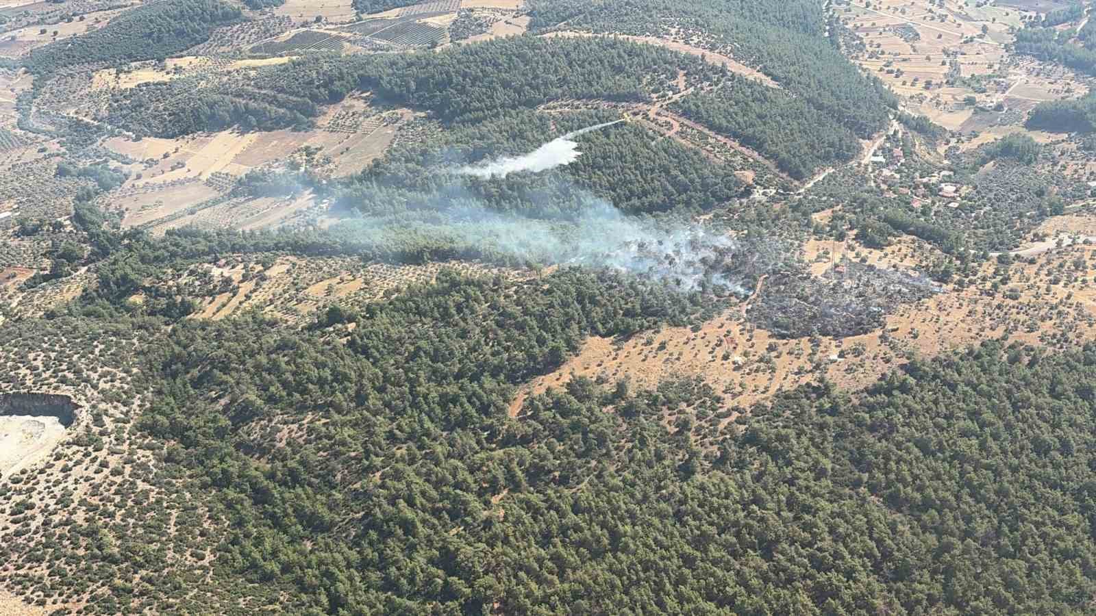 Muğla’nın Milas ilçesine bağlı Bağdamlar Mahallesi’ndeki zirai alanda meydana gelen