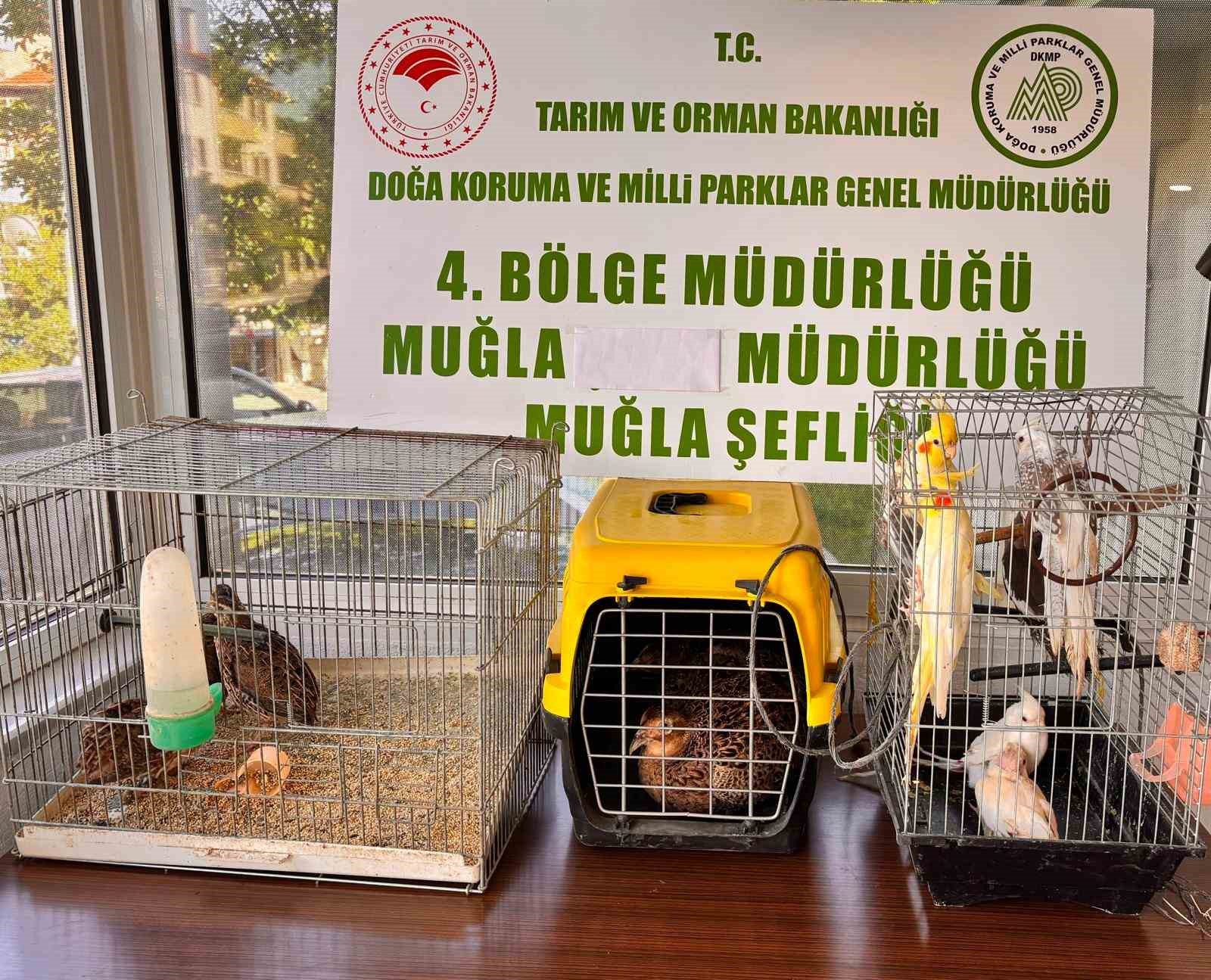 Muğla’nın Ula ilçesinde, CİMER’e yapılan bir ihbarı değerlendiren ekipler, düzenledikleri