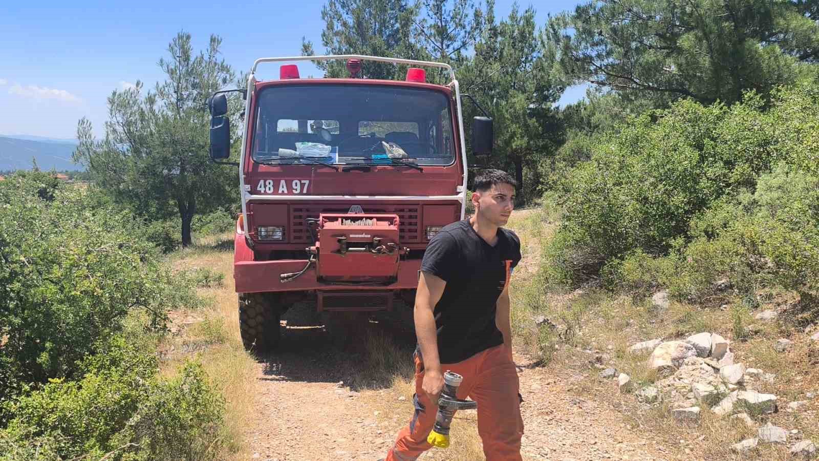 Muğla’nın Menteşe ilçesinde arı kovanlarının yakınındaki ormanlık alanda çıkan yangın,
