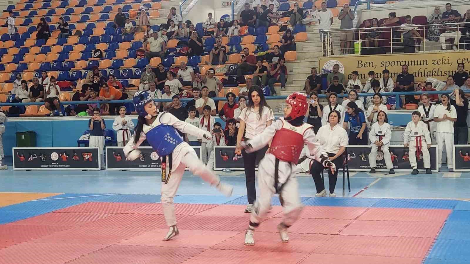 Muğla’da düzenlenen "Minikler ve Ümitler Taekwondo Batı Grubu Müsabakaları İl