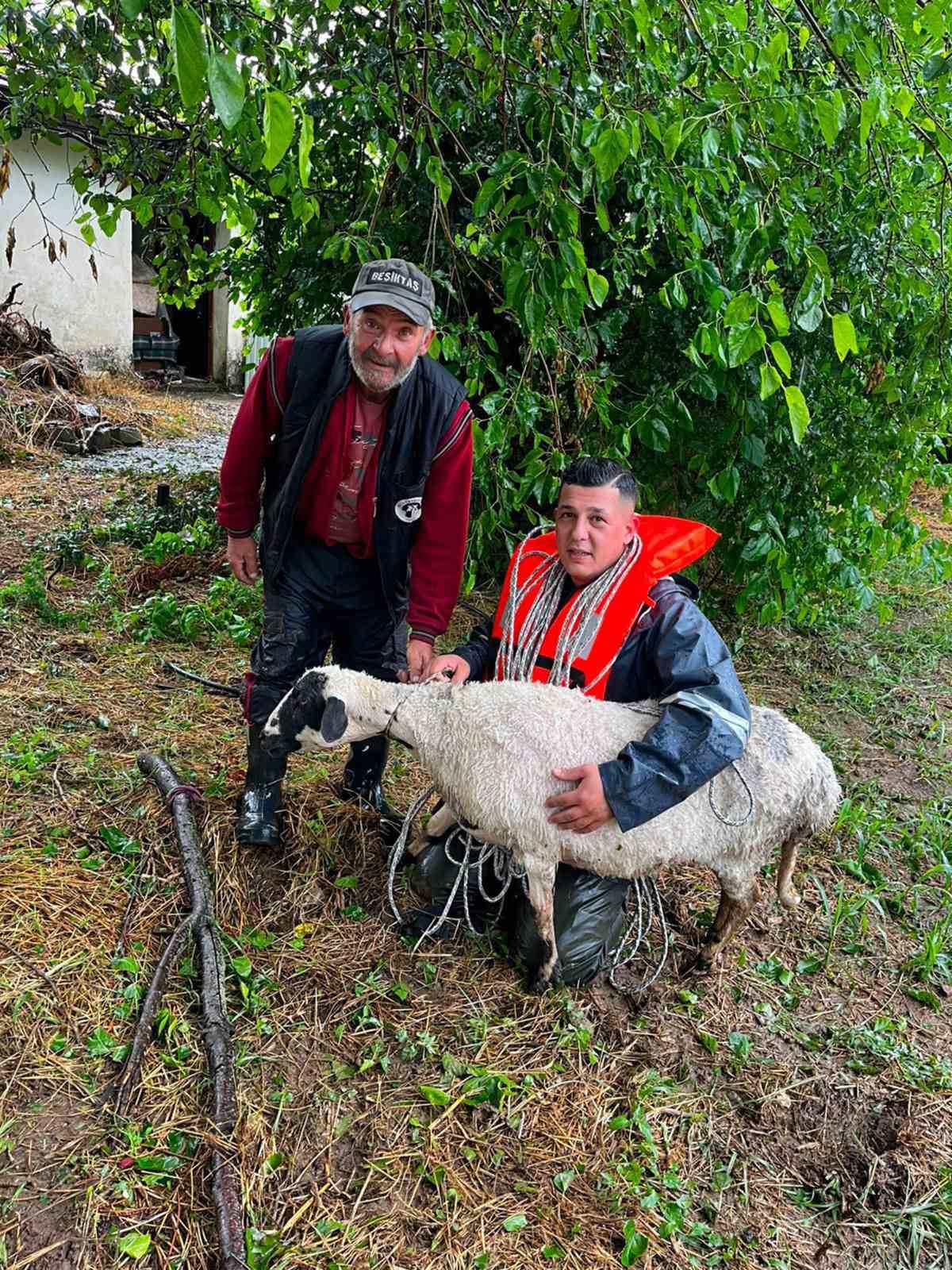 Muğla’nın Menteşe ilçesinde akşam saatlerinde başlayan sağanak yağmur sonrası Karabağlar