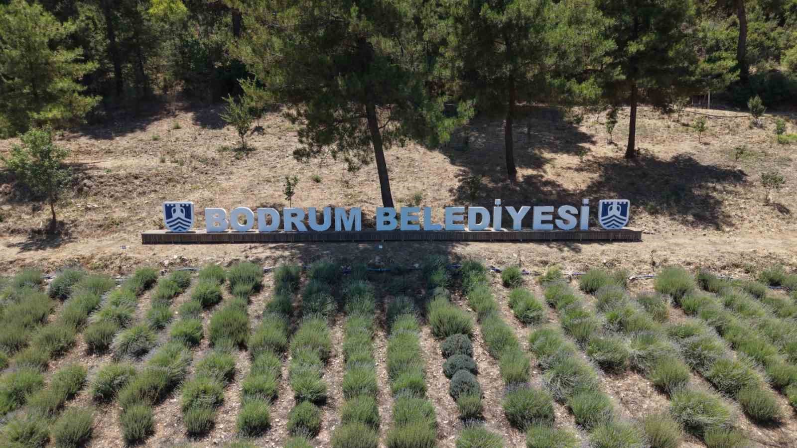 Bodrum Belediyesi Tarımsal Hizmetler Müdürlüğü tarafından bu yıl 6’ncısı düzenlenen