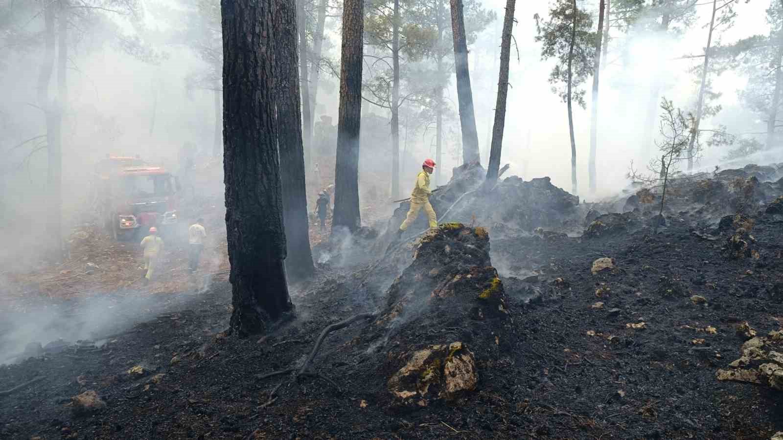 Muğla’nın Dalaman ilçesine bağlı Gürleyik Mahallesi yakınlarındaki ormanlık alanda çıkan