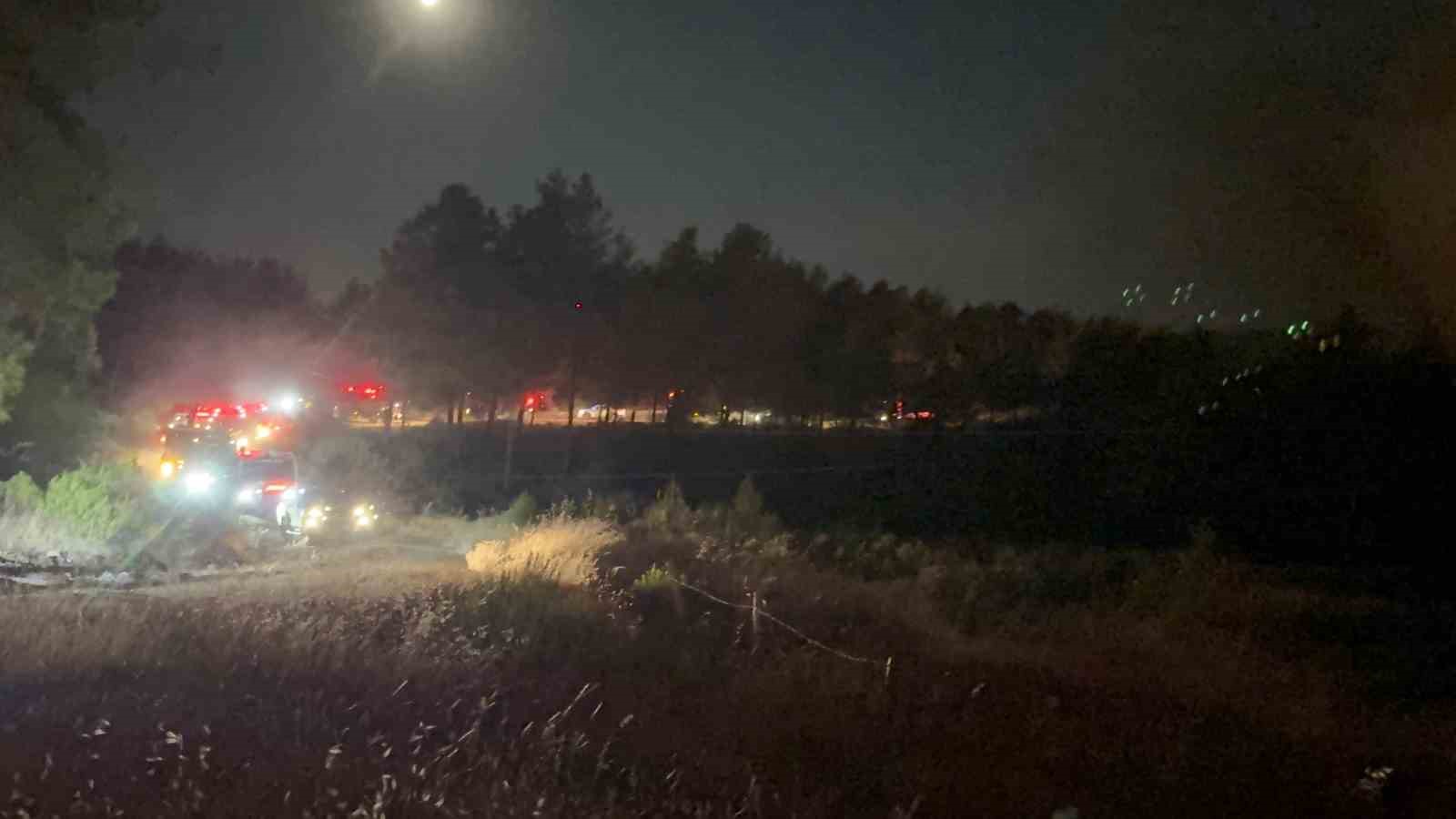 Muğla’nın Fethiye ilçesine bağlı Yeşilüzümlü Mahallesi’nde gece saatlerinde çıkan orman