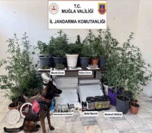 Muğla İl Jandarma Komutanlığı sorumluluk alalında Haziran ayında 113 uyuşturucu